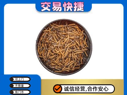 平乐县高价回收散虫草